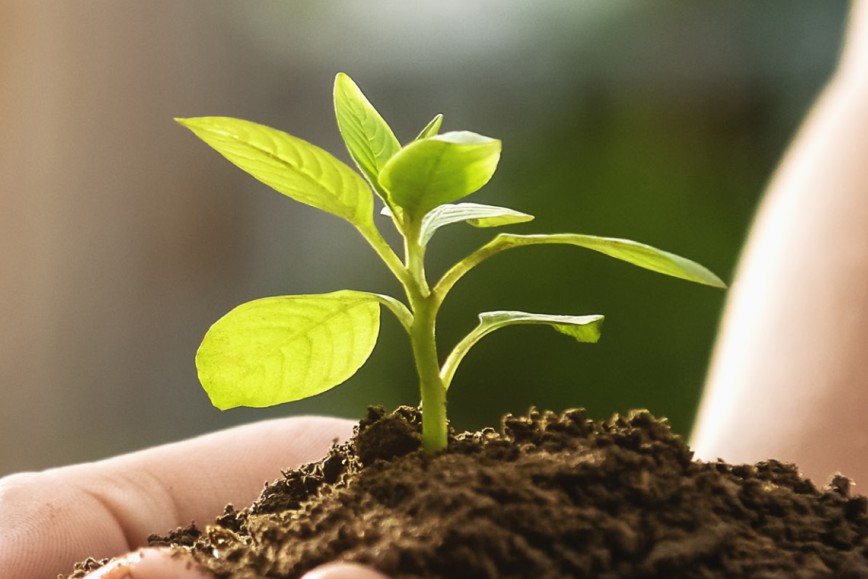 Lịch sử hình thành