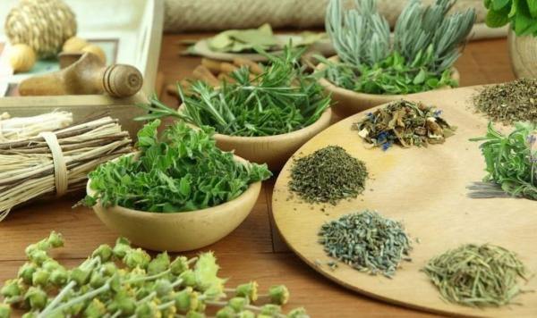 Các loại thảo dược giúp TÓC KHỎE ĐẸP TỪ BÊN TRONG