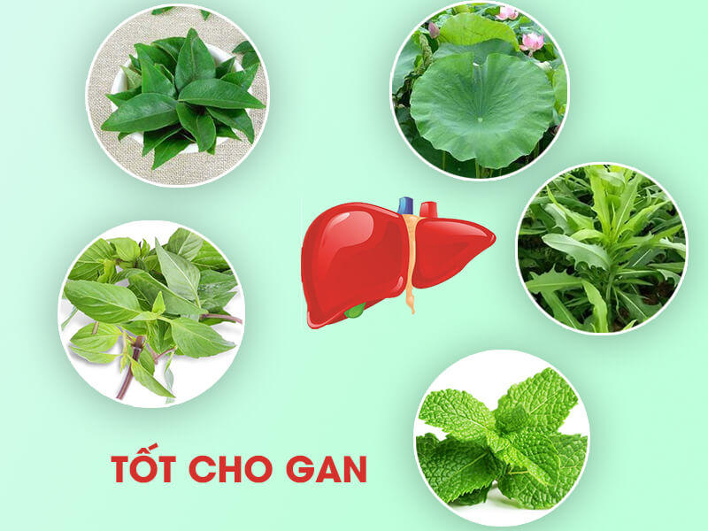 5 Loại Lá Thảo Dược Là 