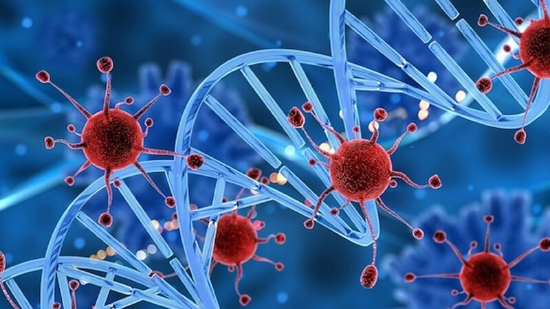 Những thực phẩm quen thuộc, được xem là 