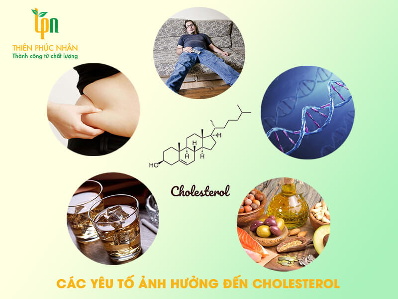 3 Cách Đơn Giản Giảm Cholesterol Hiệu Quả