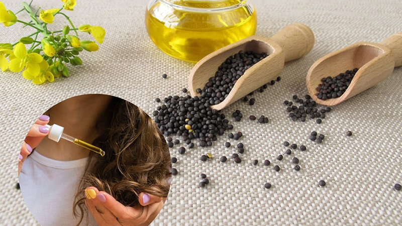 Có 3 loại dầu cực tốt 