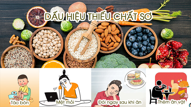 4 dấu hiệu cảnh báo bạn thiếu chất xơ trong chế độ ăn uống