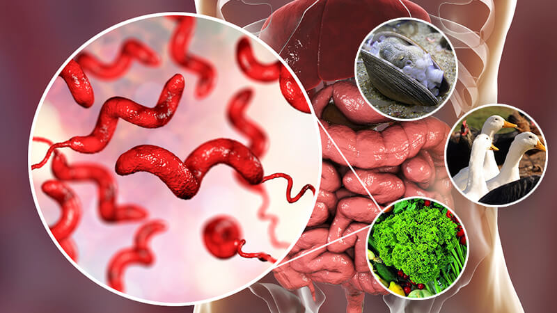 8 thực phẩm quen thuộc dễ gây ngộ độc nhất và cách phòng tránh